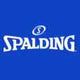 Spalding Basketball