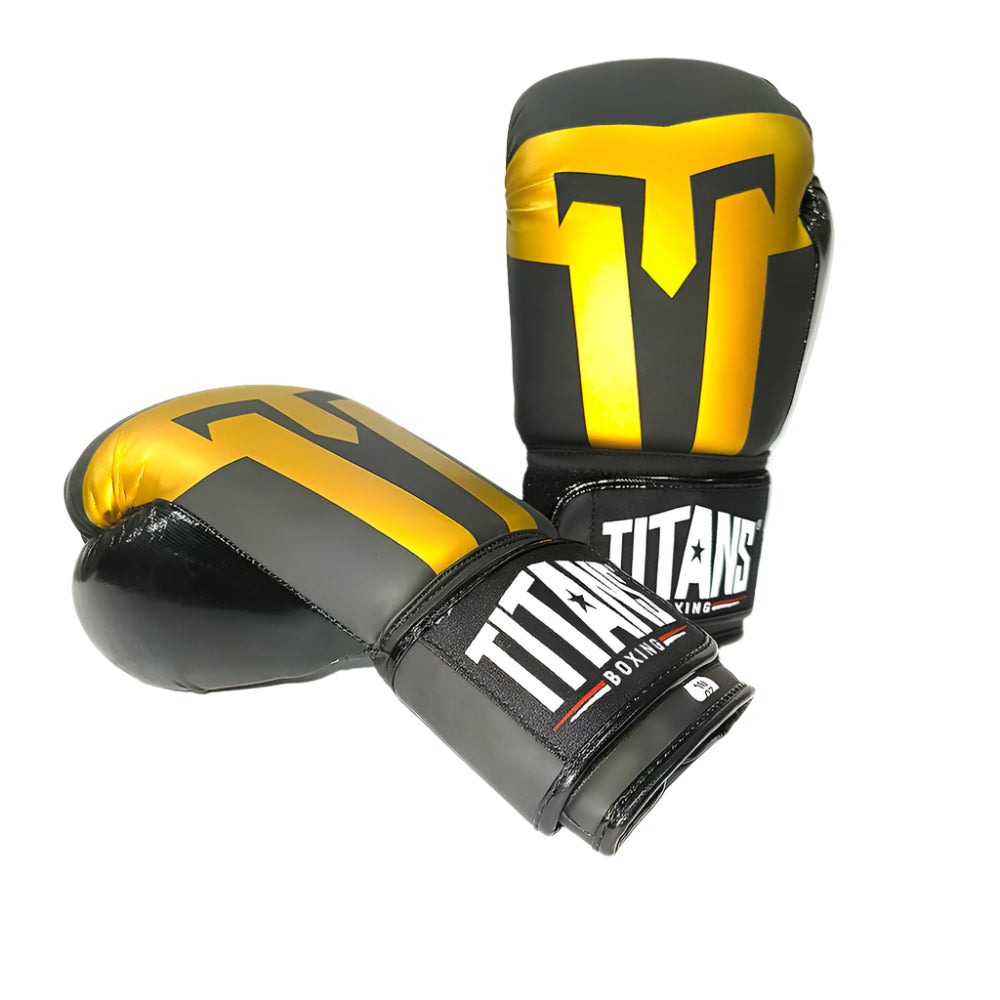 Titans Warrior Fight Boxing Gloves