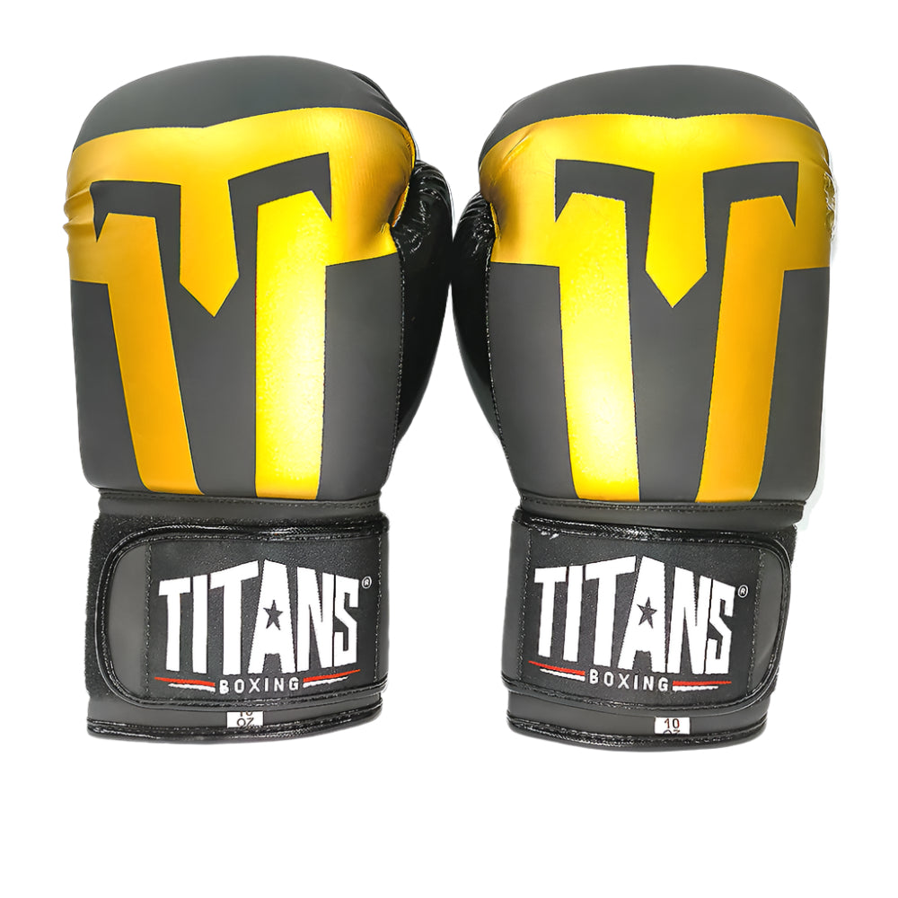 Titans Warrior Fight Boxing Gloves