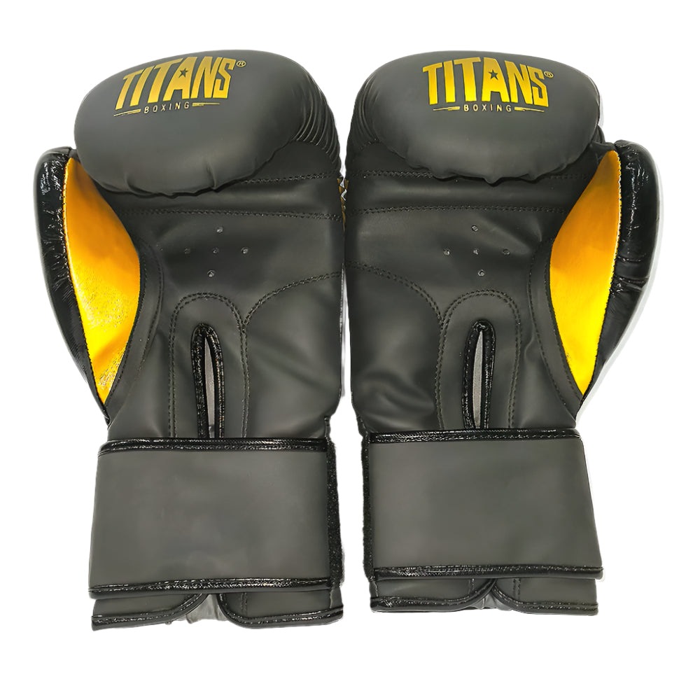 Titans Warrior Fight Boxing Gloves