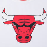 FexPro NBA Primary Team Logo Basic Chicago Bulls Jersey