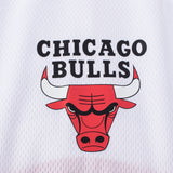 FexPro NBA Primary Team Logo Basic Chicago Bulls Jersey