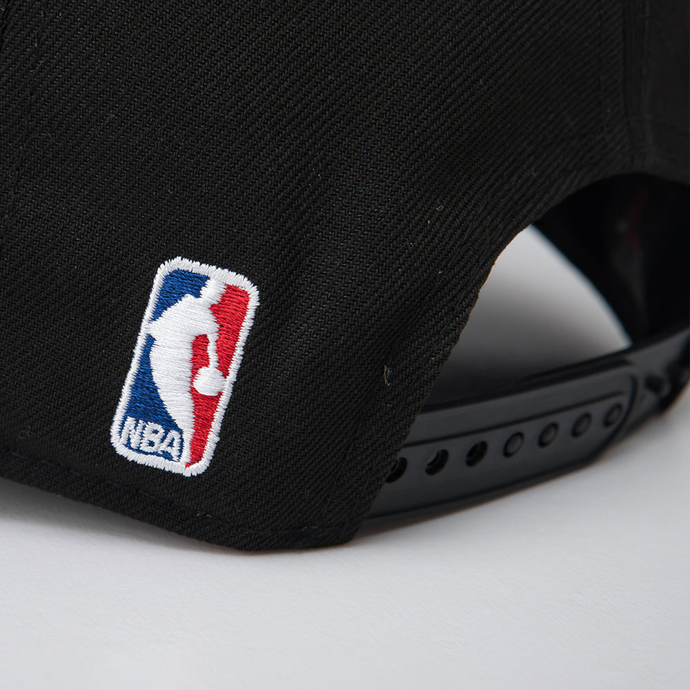 FexPro Men's NBA Embroidery Cap Curved - Bulls