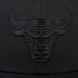 FexPro Men's NBA 3D All Black Embroidery Curved Cap - Bulls