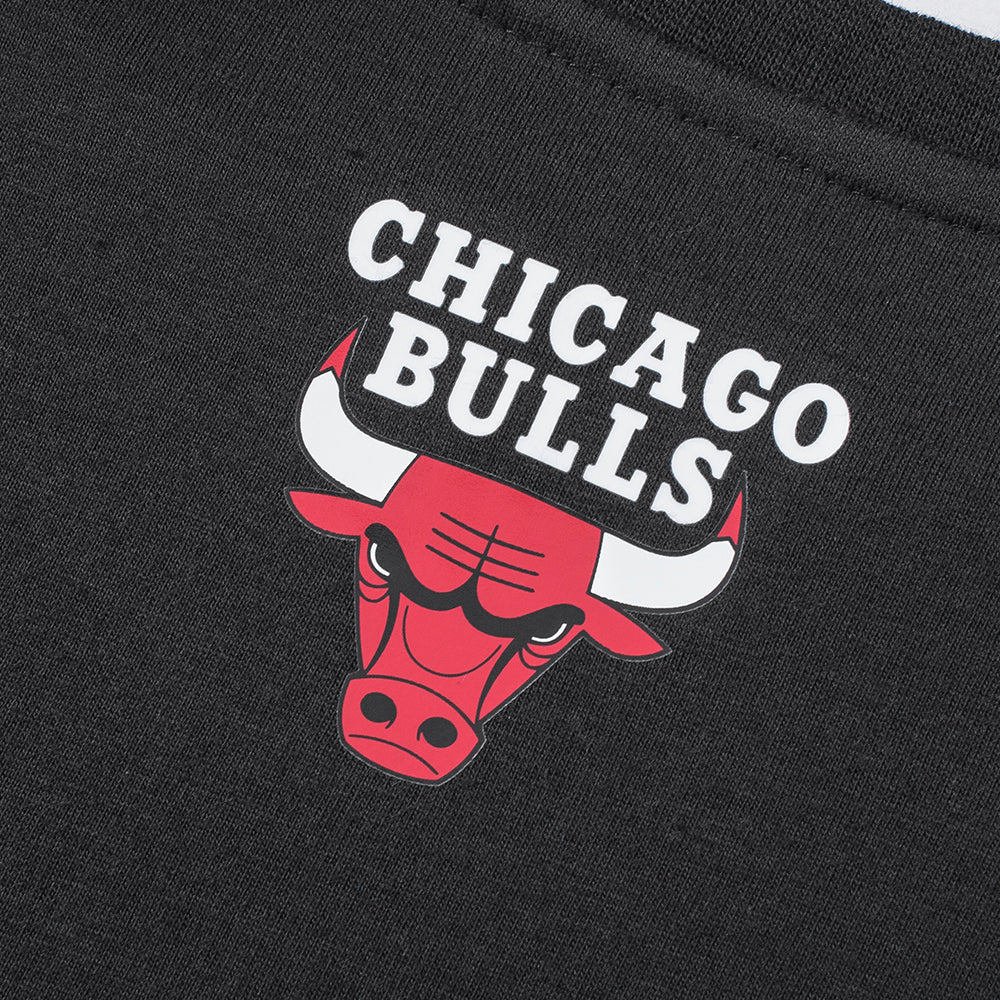 FexPro Men's NBA Basics Primary Logo T-Shirt Bulls