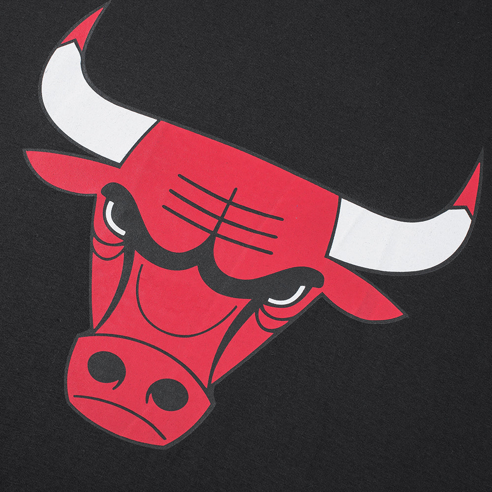 FexPro Men's NBA Basics Primary Logo T-Shirt Bulls