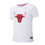 FexPro Men's NBA Basics Primary Logo T-Shirt Bulls