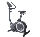 Core Magnetic Bike YS301