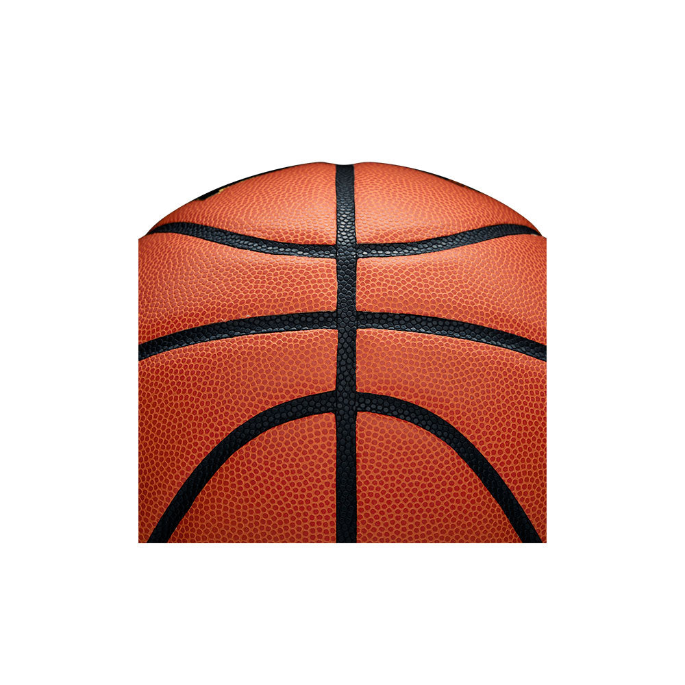 Wilson Evolution Basketball